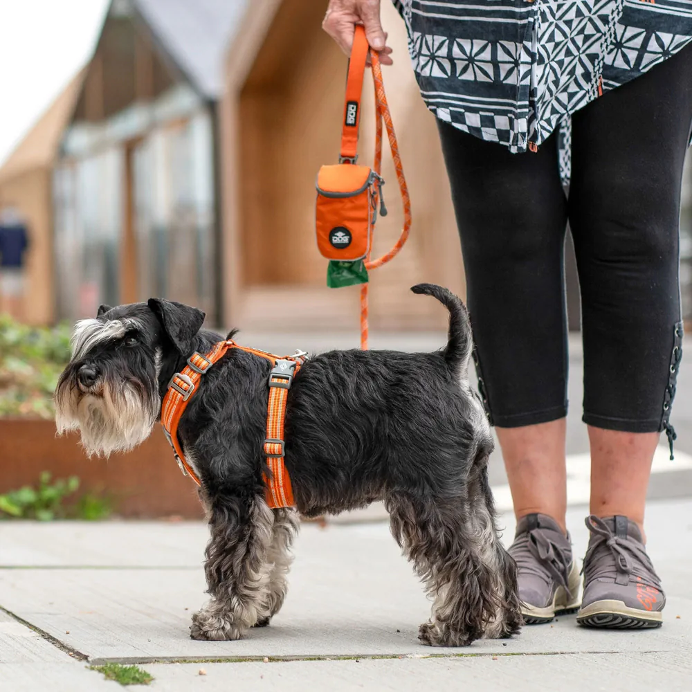 Dog Copenhagen Comfort Walk Air Geschirr
