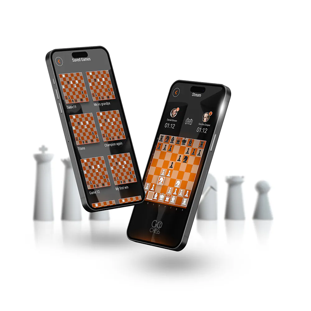 Particula GoChess Mini