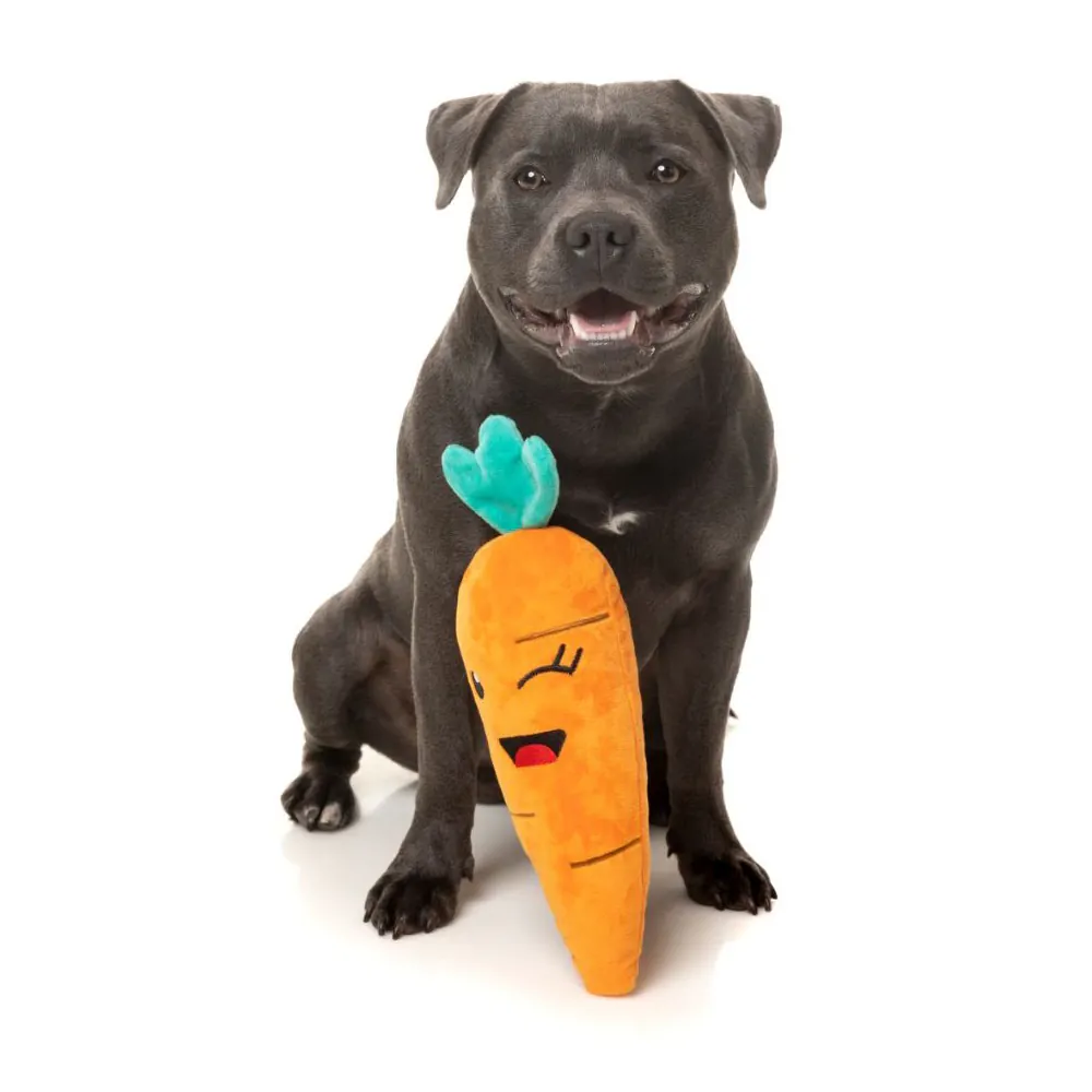 FuzzYard Winky Carrot