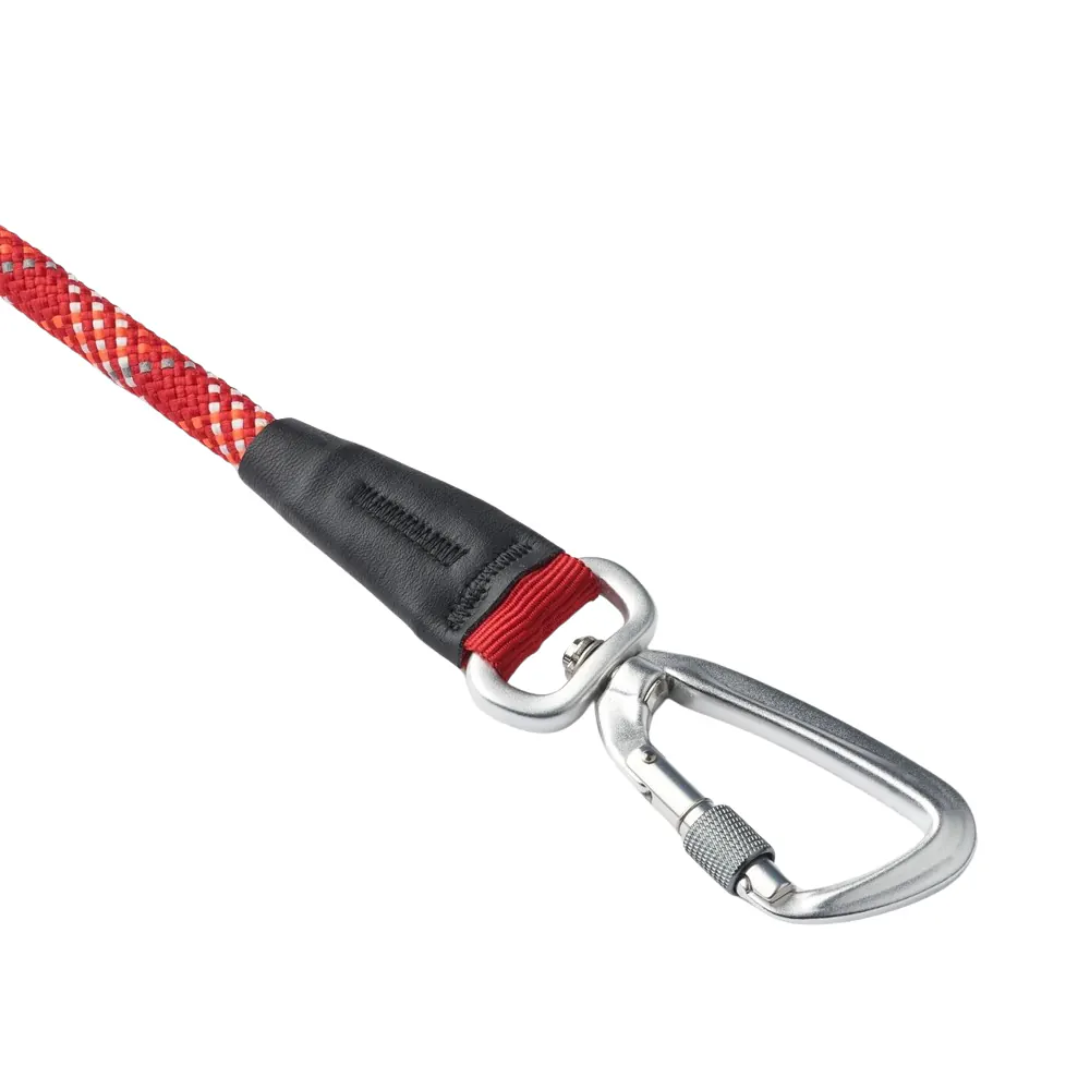 Dog Copenhagen Urban Rope Leine